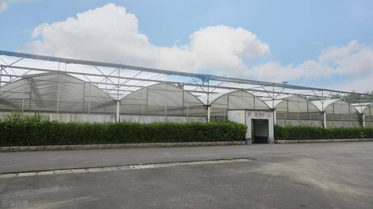 尼木县吞弥现代农业园区温室大棚果蔬种植建设项目施工招标公告