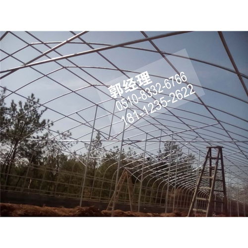 梅州蔬菜大棚管应用与4分6分简易小棚的优势解析——欢迎来厂参观考察