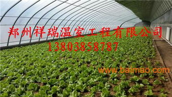 单体蔬菜大棚简易大棚设计建造商大棚配件销售,单体蔬菜大棚简易大棚设计建造商大棚配件销售生产厂家,单体蔬菜大棚简易大棚设计建造商大棚配件销售价格