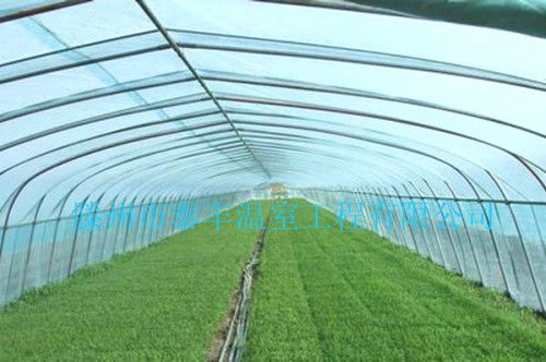 一个蔬菜大棚有多少平方,造价要多少