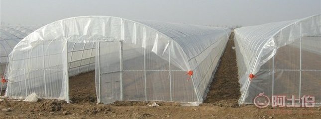 温室大棚配件与花卉大棚骨架机 现代化农业生产的坚实支撑